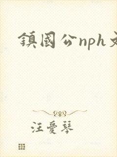 镇国公nph文