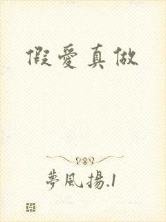 假爱真做