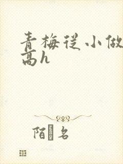 青梅从小做到大高h