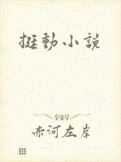 挺动小说
