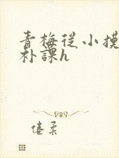 青梅从小摸到大补课h