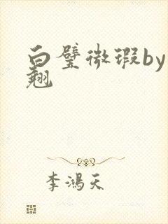 白璧微瑕by连翘