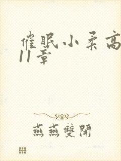 催眠小柔高达第11章