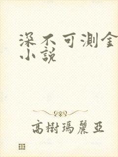 深不可测金银花小说