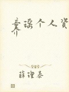 童瑶个人资料简介