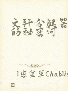 文轩分腿器河马的秘密河