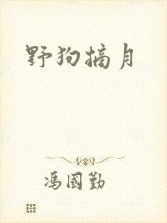 野狗摘月
