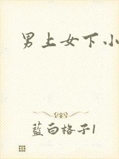 男上女下小说