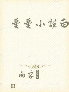 爱爱小说白洁