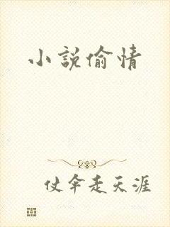 小说偷情