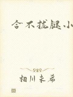 合不拢腿小说