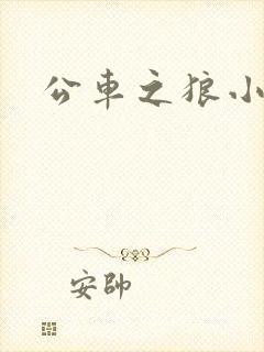 公车之狼小说