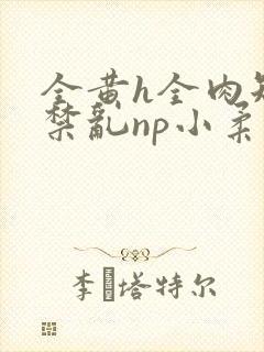 全黄h全肉短篇禁乱np小柔