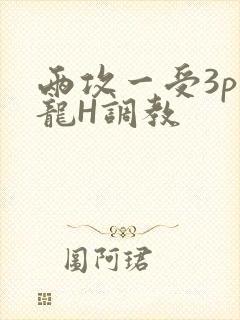 两攻一受3p双龙H调教