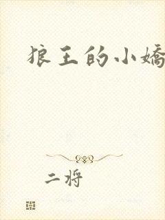 狼王的小娇妻