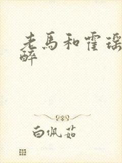 老马和霍瑶瑶喝醉