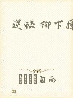 逆鳞 柳下挥