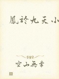 凤于九天小说