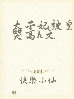 太子妃被皇上c哭高h文