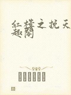 红楼之挽天倾笔趣阁