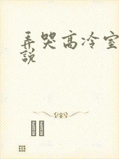 弄哭高冷室友小说