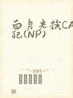 白月光挨CAO记(NP)