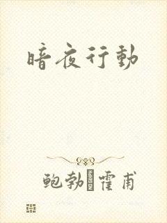 暗夜行动