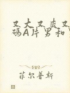 又大又爽又黄无码A片男和男