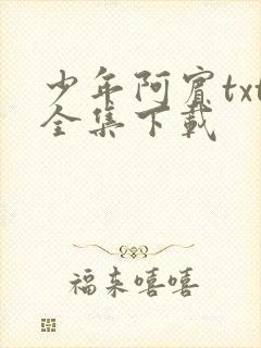 少年阿宾txt全集下载