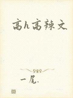 高h高辣文