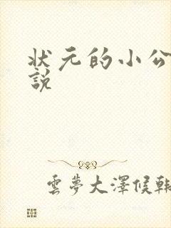 状元的小公主小说