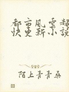 都市风云超前超快更新小说