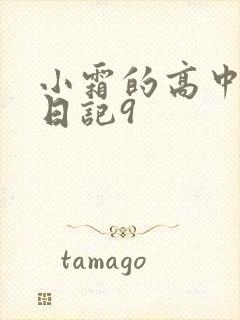 小霜的高中成长日记9