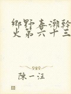 乡野春潮干柴烈火第六十三章