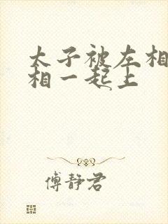 太子被左相和右相一起上