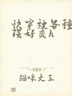 快穿被各种男主强好爽h