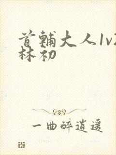 首辅大人1v2林初