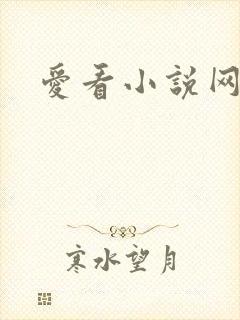 爱看小说网