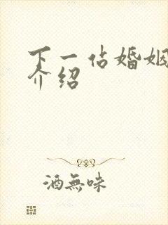 下一站婚姻剧情介绍