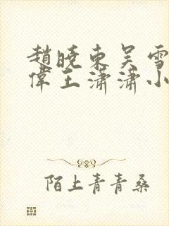 赵晓东吴雪晴郑伟王潇潇小说