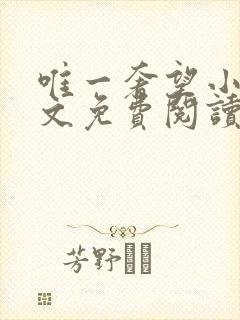 唯一奢望小说全文免费阅读