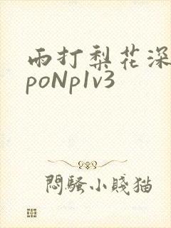 雨打梨花深闭门poNp1v3