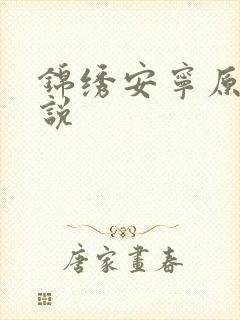 锦绣安宁原著小说