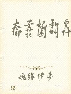 太子妃和皇帝在御花园叫什么小说