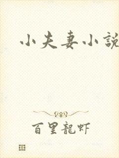 小夫妻小说