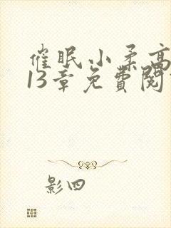 催眠小柔高达第13章免费阅读