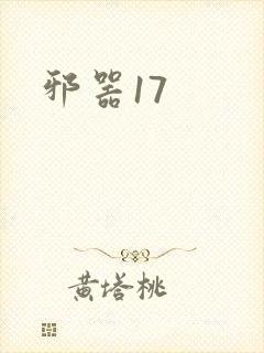 邪器17