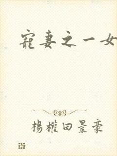 宠妻之一女二夫