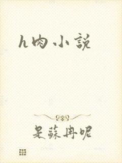 h肉小说