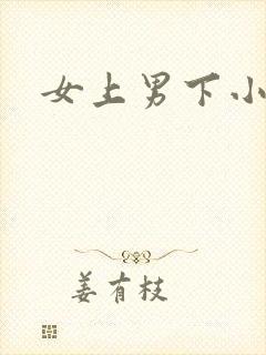 女上男下小说